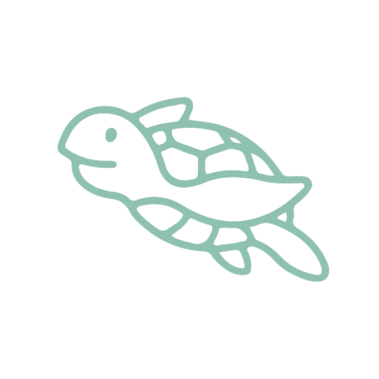 Nacpan Sea Turtle Center
